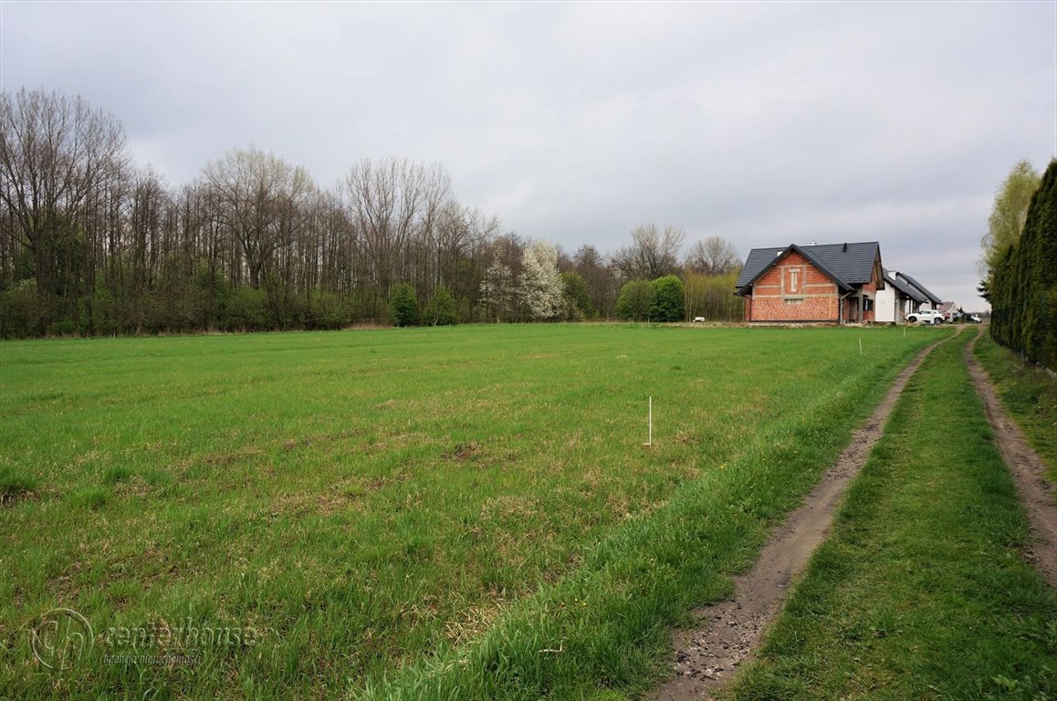 Działka budowlana na sprzedaż Strażów  1 402m2 Foto 4