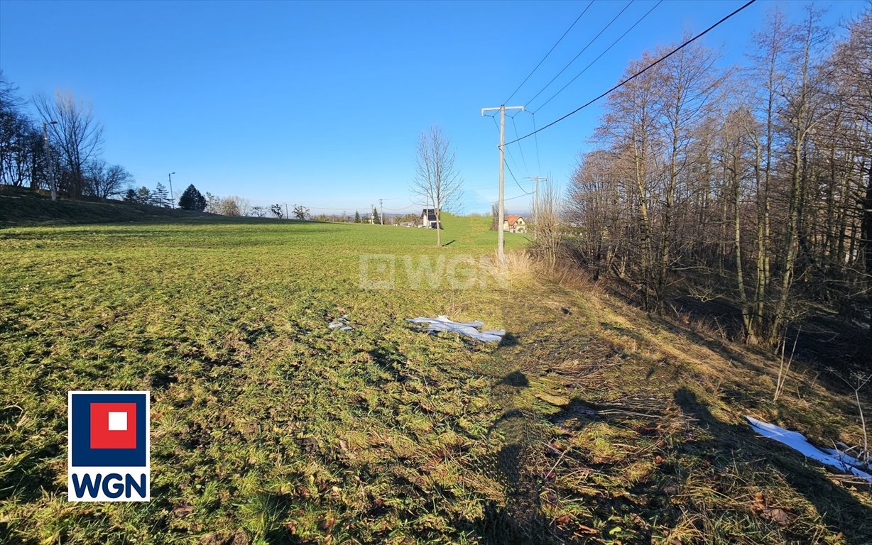 Działka budowlana na sprzedaż Ustroń, Brody  2 250m2 Foto 11