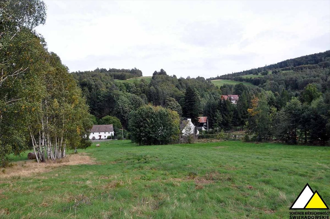 Działka budowlana na sprzedaż Gierczyn  2 500m2 Foto 8