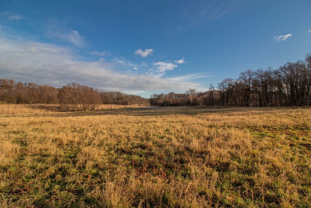 Działka budowlana na sprzedaż Żary, Bociania  1 100m2 Foto 17