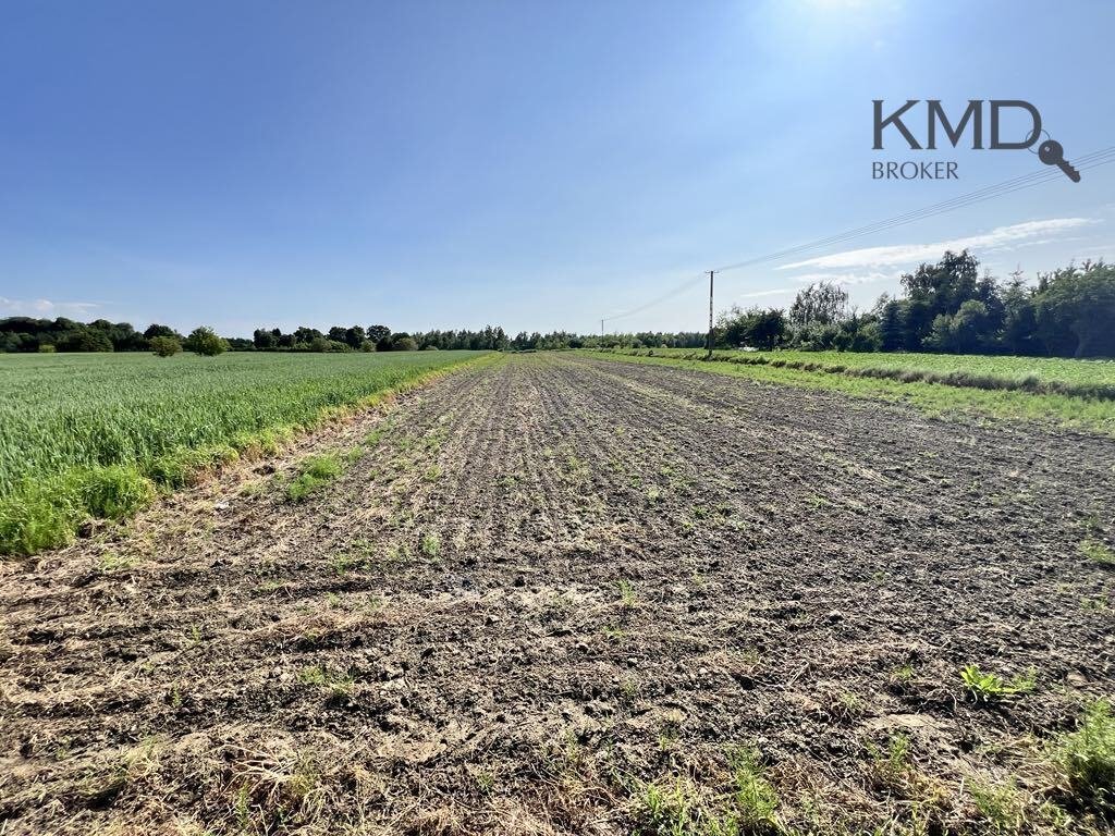 Działka 5000 m² z 2000 m² budowlanych, asfalt, cisza Bystrzyca  5 000m2 Foto 1