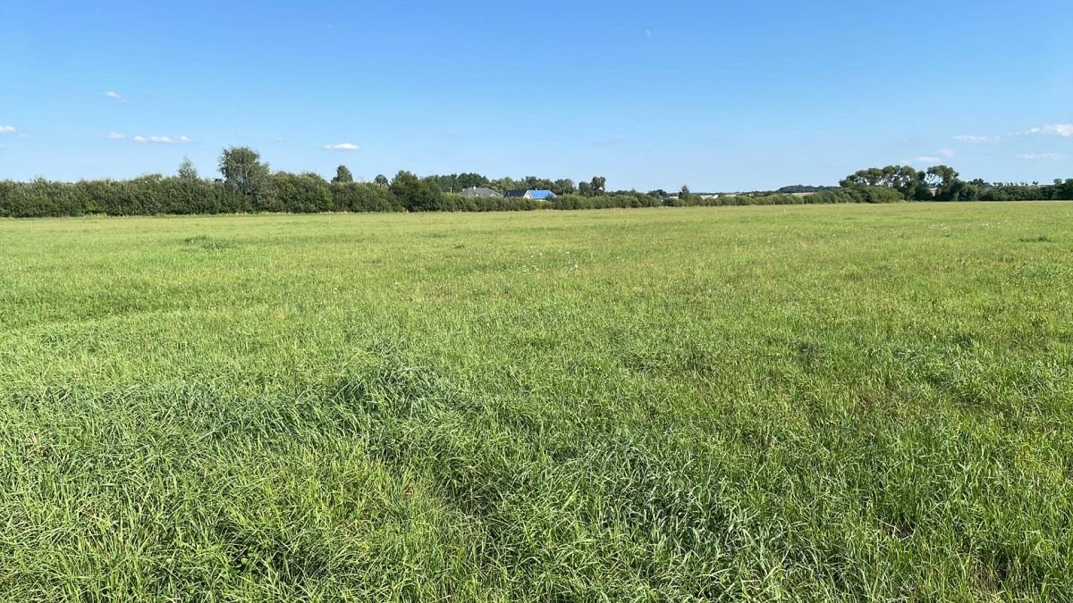 Działka budowlana na sprzedaż Studzieniec, Międzylesie  1 700m2 Foto 5