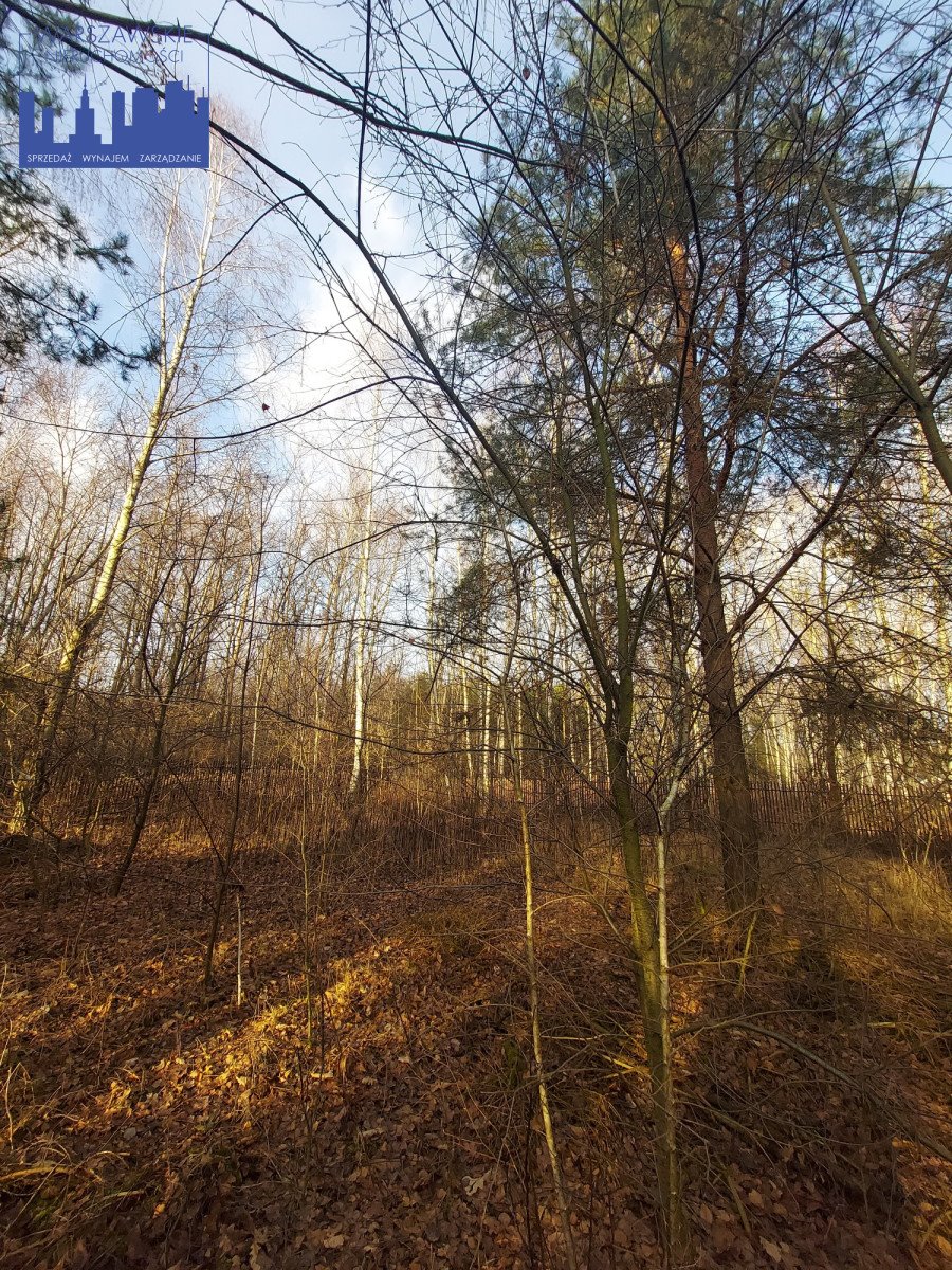 Działka budowlana na sprzedaż Borowina, Zaleśna  1 129m2 Foto 7