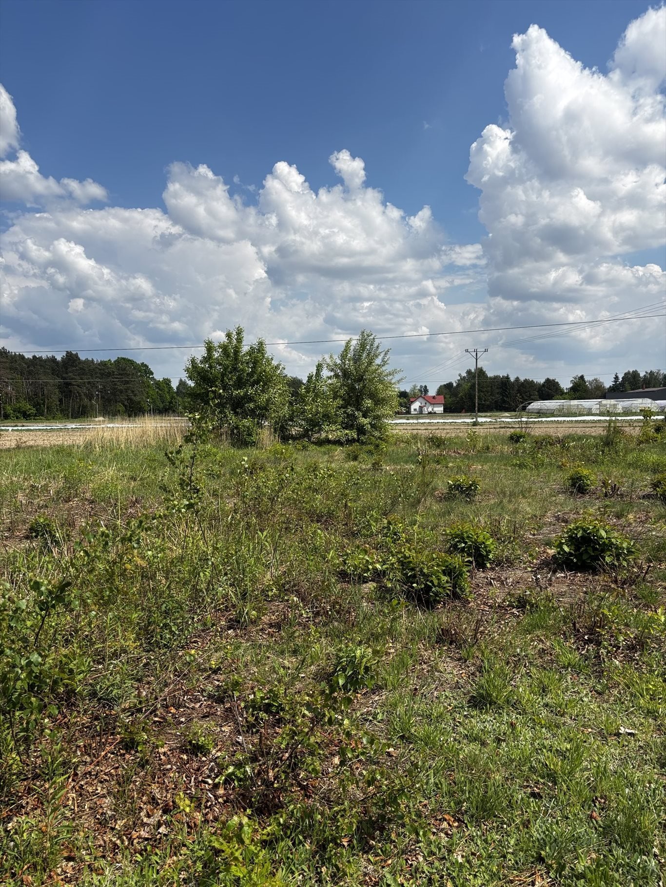 Zapraszam do zakupu działki 1135 m² w Grądach - blisko natury Grądy  1 135m2 Foto 1