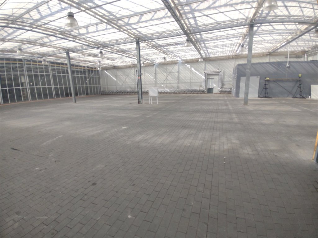 Lokal użytkowy na wynajem Owińska  1 500m2 Foto 1