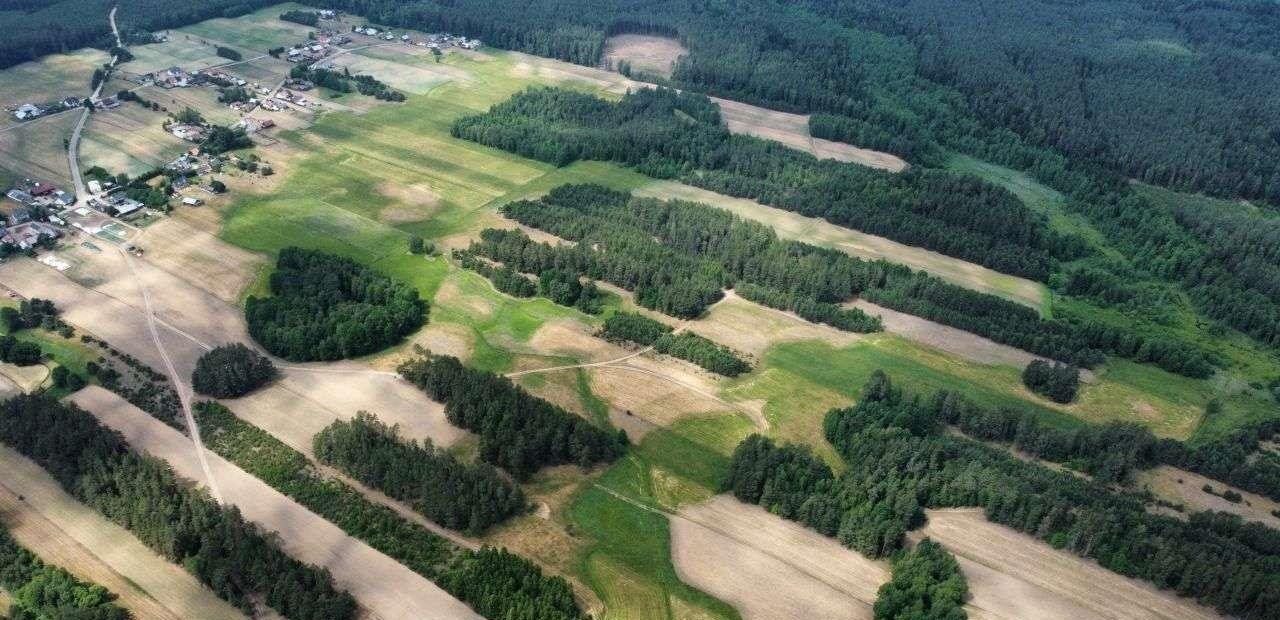 Działka rolna na sprzedaż Strzelcowizna  92 500m2 Foto 6