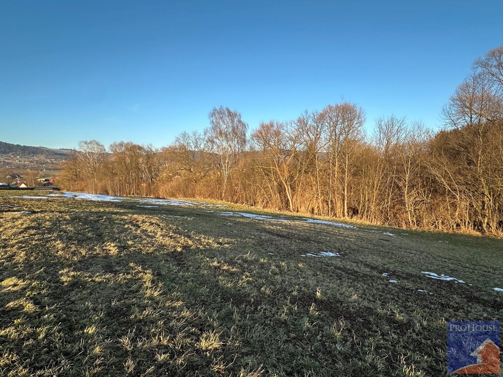 Działka budowlana na sprzedaż Męcina  4 200m2 Foto 2