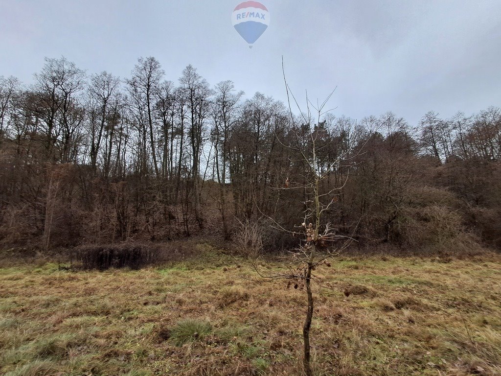 Działka budowlana na sprzedaż Paulinowo, Królowej Bony  5 000m2 Foto 12