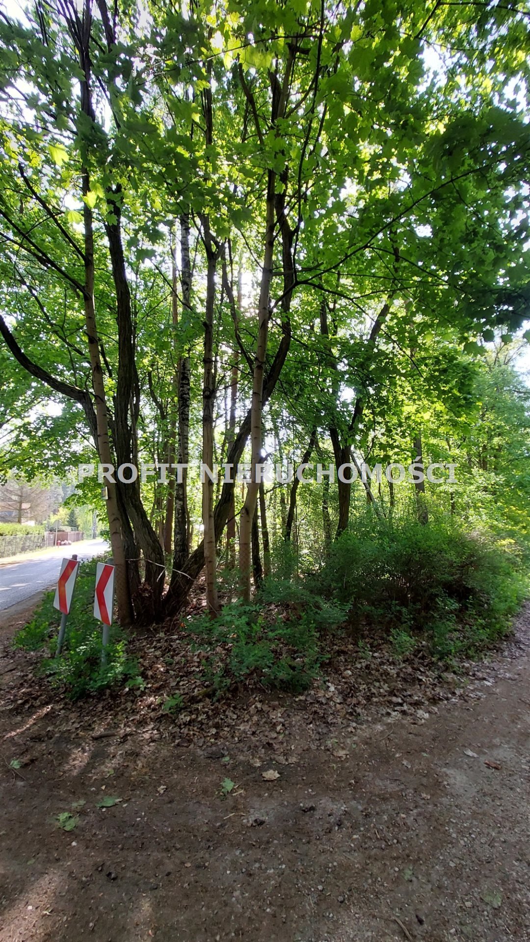 Do sprzedania zalesiona działka 1034 m² z mediami w Jedliczach B Jedlicze B, Stara Droga  1 034m2 Foto 1