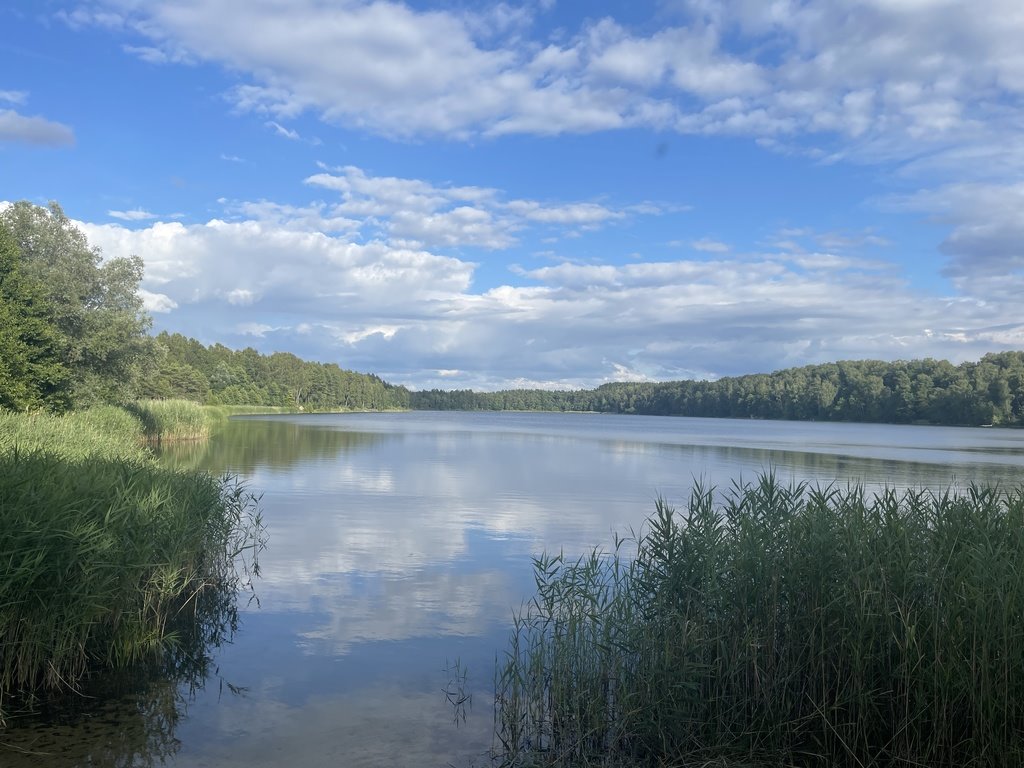 Mieszkanie dwupokojowe na wynajem Czarnogłowy, Dąbrowskiego  60m2 Foto 8