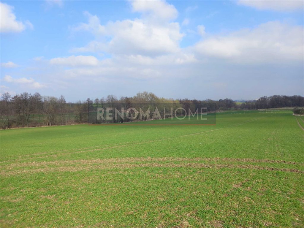 Działka budowlana na sprzedaż Witoszów Górny  1 518m2 Foto 9