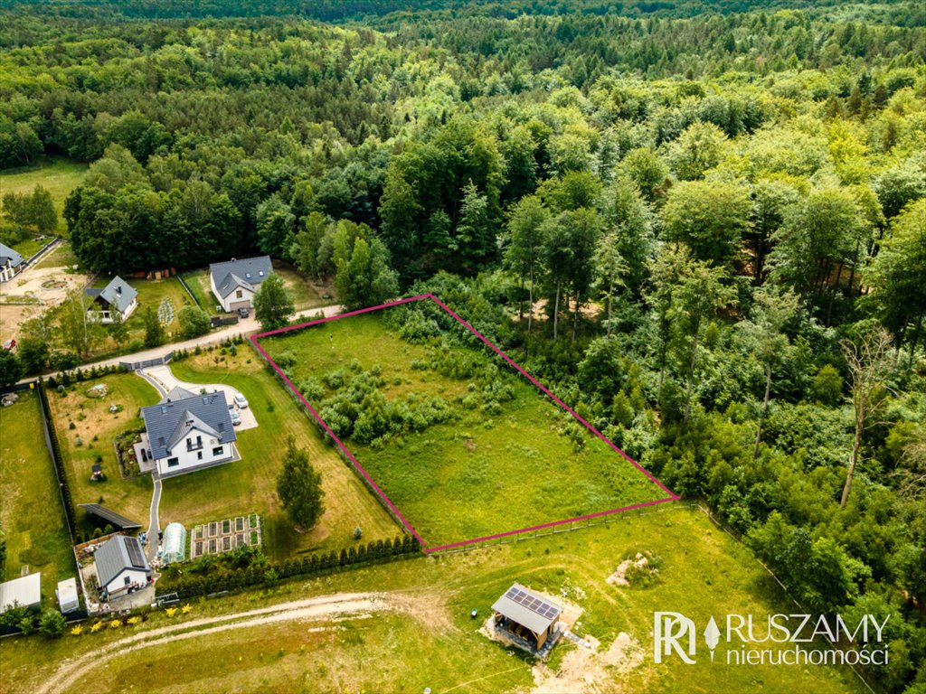 Działka budowlana na sprzedaż Przyjaźń, Mała Przyjaźń, Świerkowa  3 397m2 Foto 2