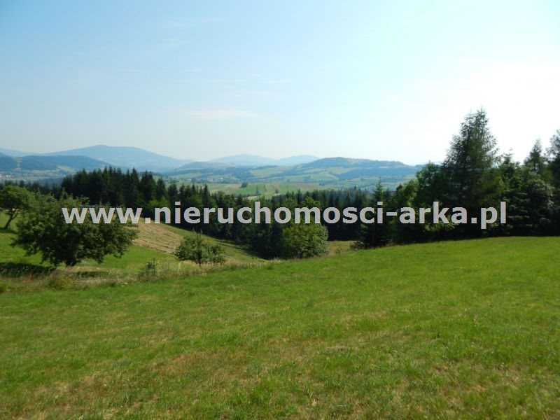 Działka rekreacyjna na sprzedaż Raba Niżna 1 800m2 Foto 1 Działka rekreacyjna na sprzedaż Raba Niżna 1 800m2 Foto 1