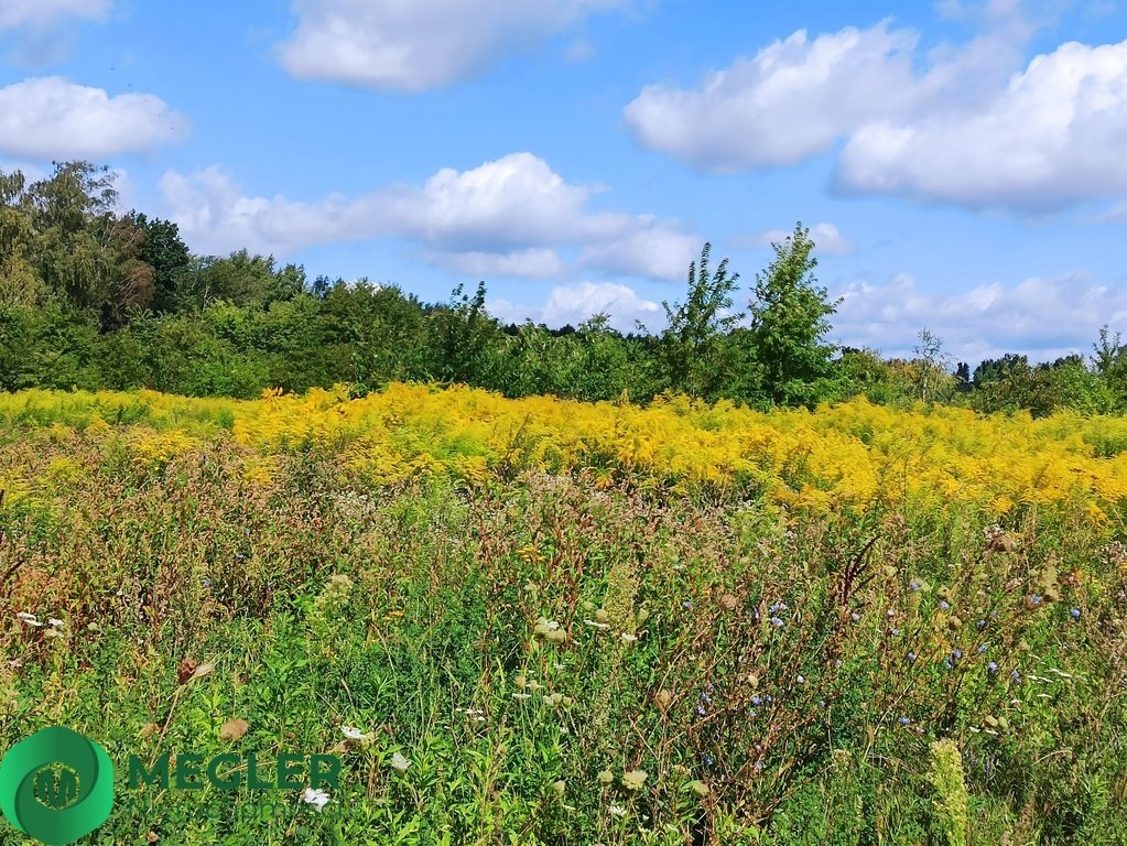 Działka budowlana na sprzedaż Granica  900m2 Foto 4