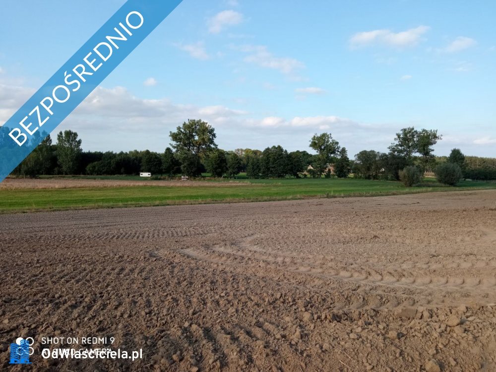 Działka budowlana na sprzedaż Nojewo  1 600m2 Foto 9