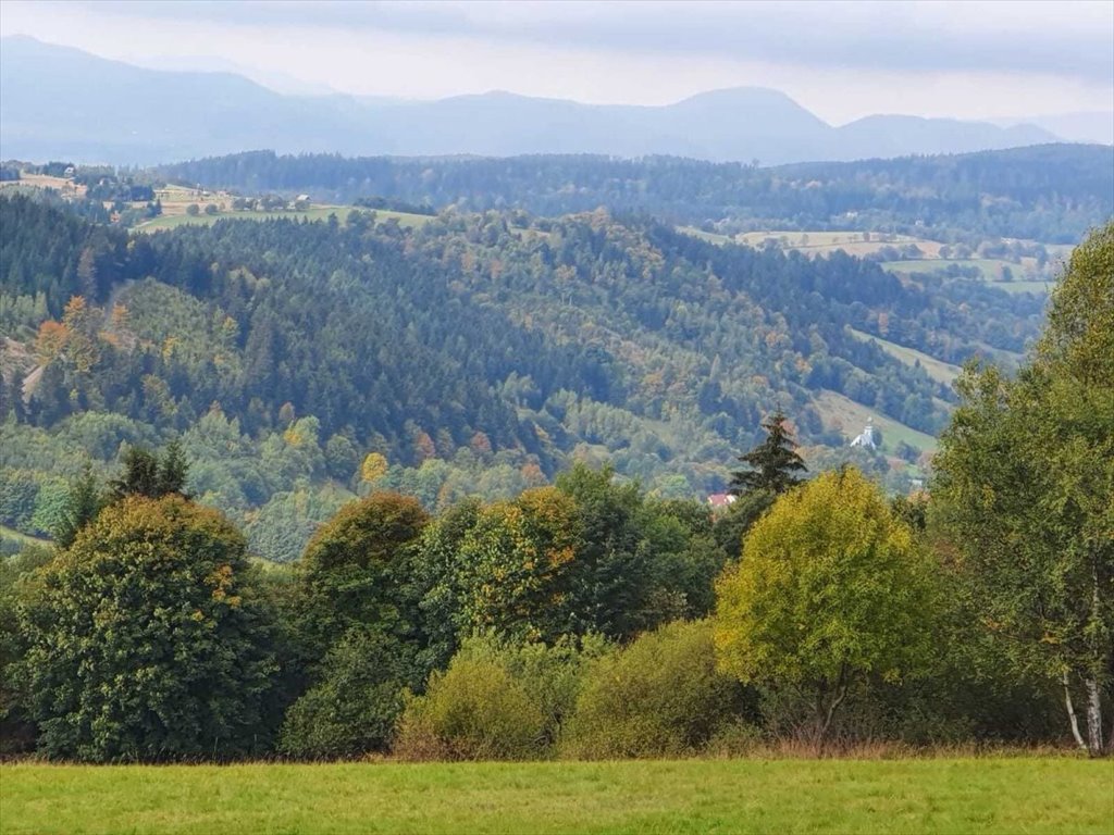 Działka budowlana na sprzedaż Bartnica, Bartnica  3 200m2 Foto 1
