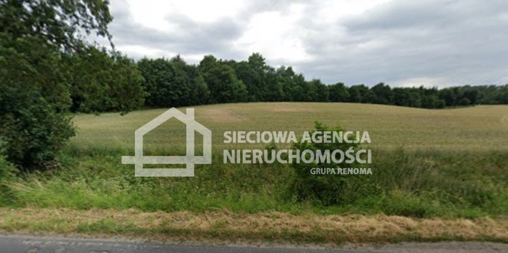 Do sprzedania duża działka rolna 8 700 m² z dostępem do jezior Niedamowo  8 700m2 Foto 1