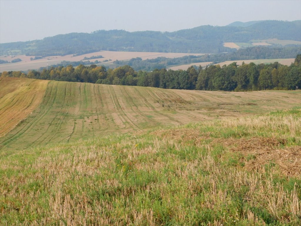 Działka rolna na sprzedaż Jaszkowa Dolna, Jaszkowa Dolna  291 440m2 Foto 1