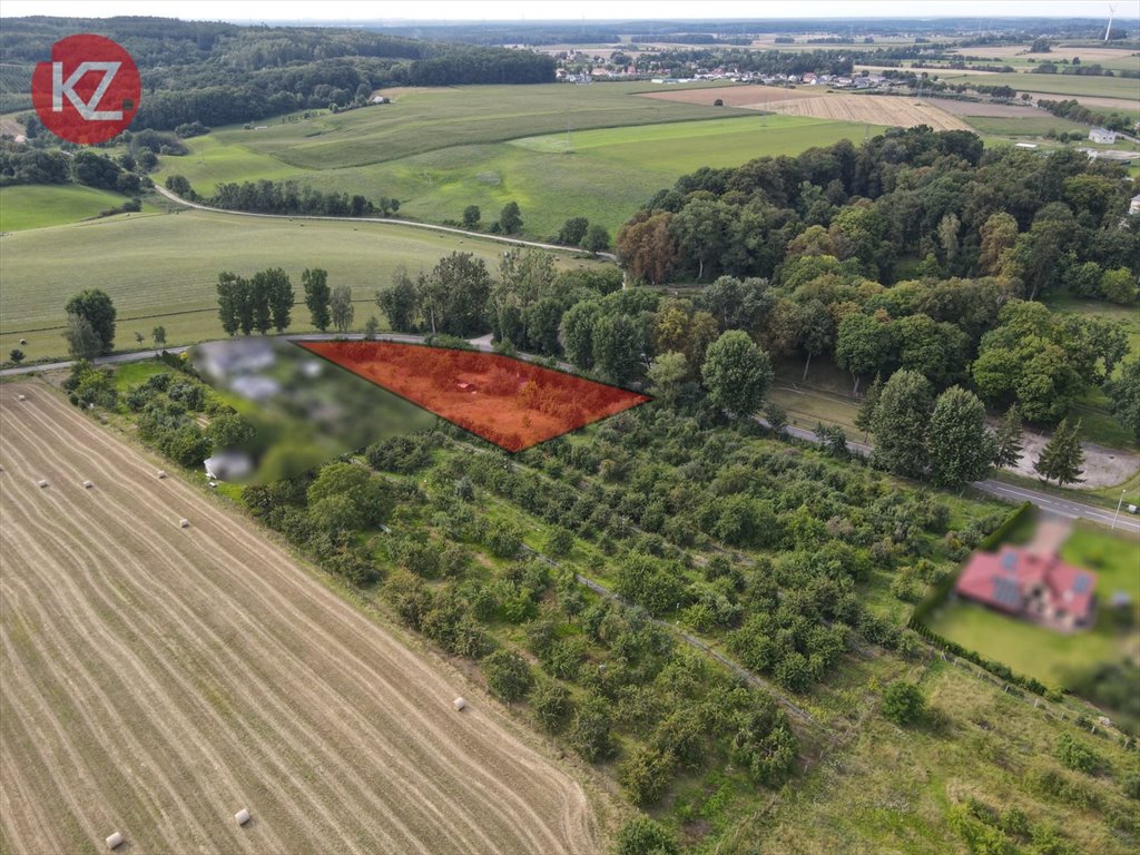 Urokliwa działka 3797 m² z prądem i dojazdem asfaltowym Brzostowo  3 797m2 Foto 1