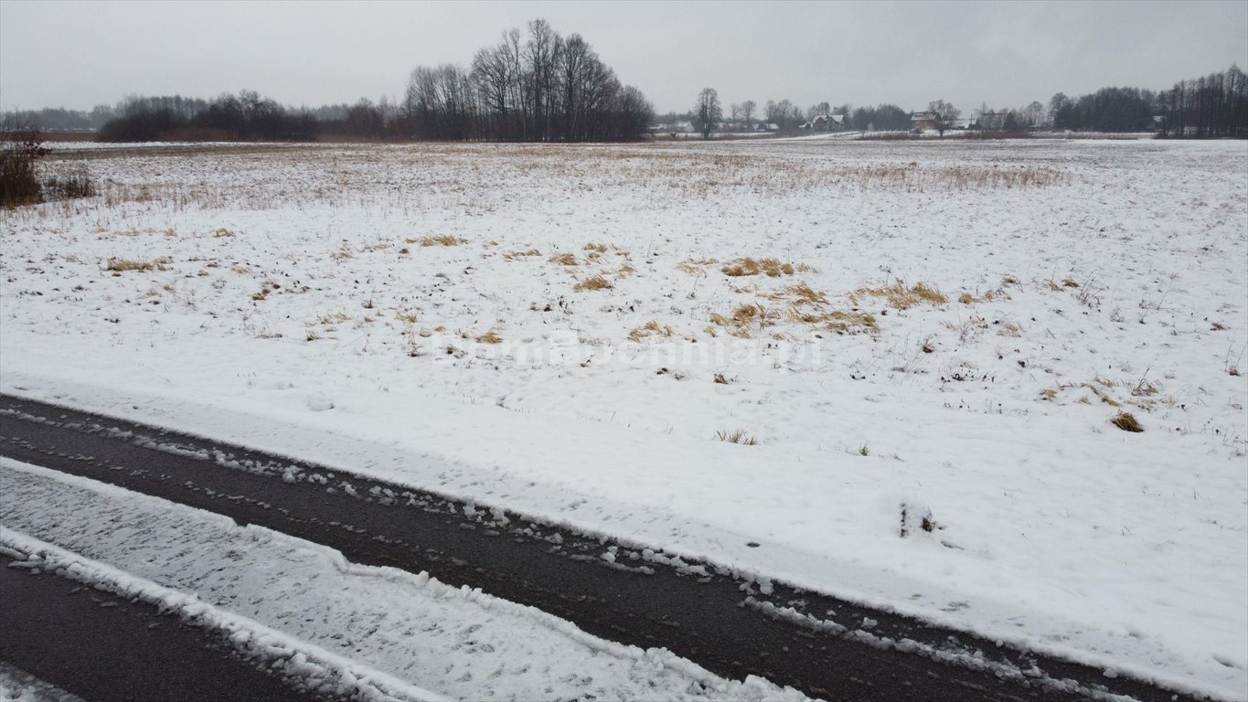 Działka rolna na sprzedaż Dębina  8 902m2 Foto 3