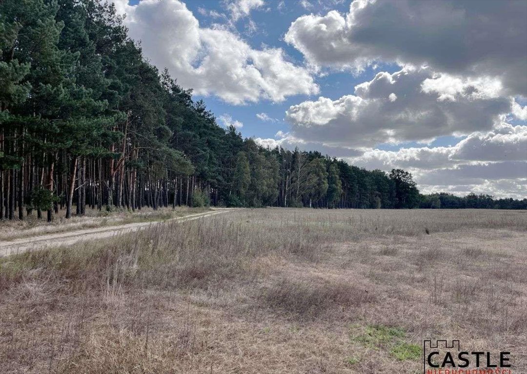 Działka budowlana na sprzedaż Trzciel  1 001m2 Foto 8