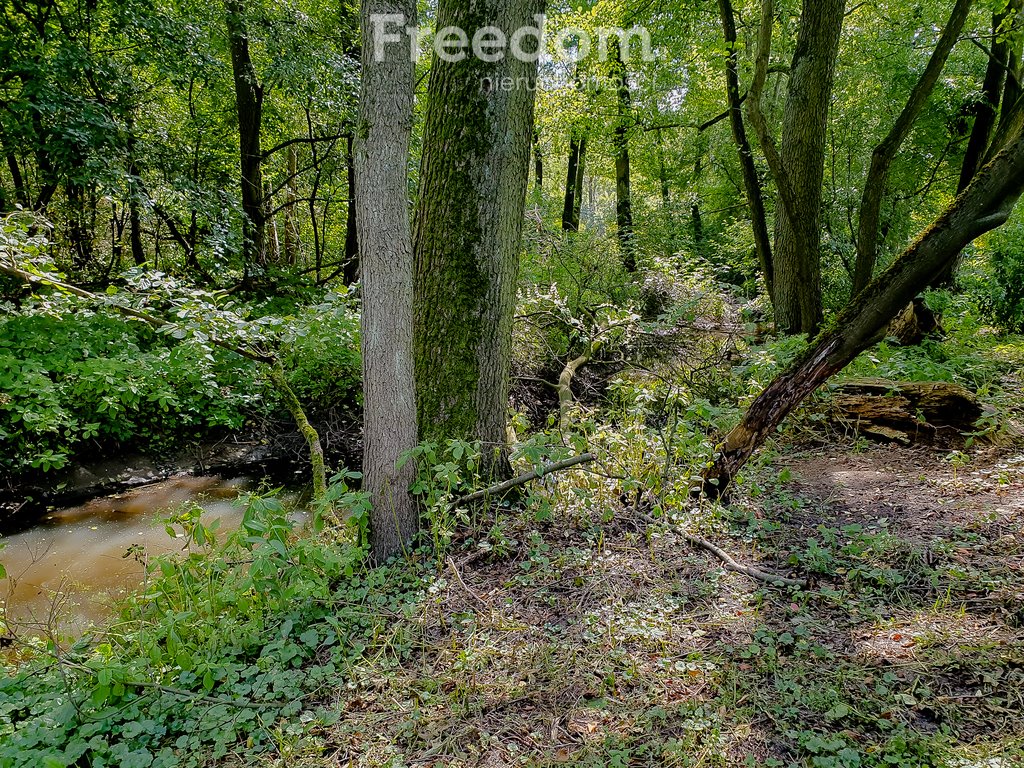 Działka inna na sprzedaż Wrząca, Nadrzeczna  10 205m2 Foto 13