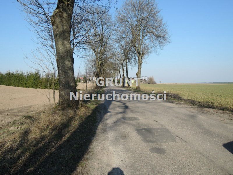 Działka siedliskowa na sprzedaż Róża Wielka 8 000m2 Foto 1 Działka siedliskowa na sprzedaż Róża Wielka 8 000m2 Foto 1