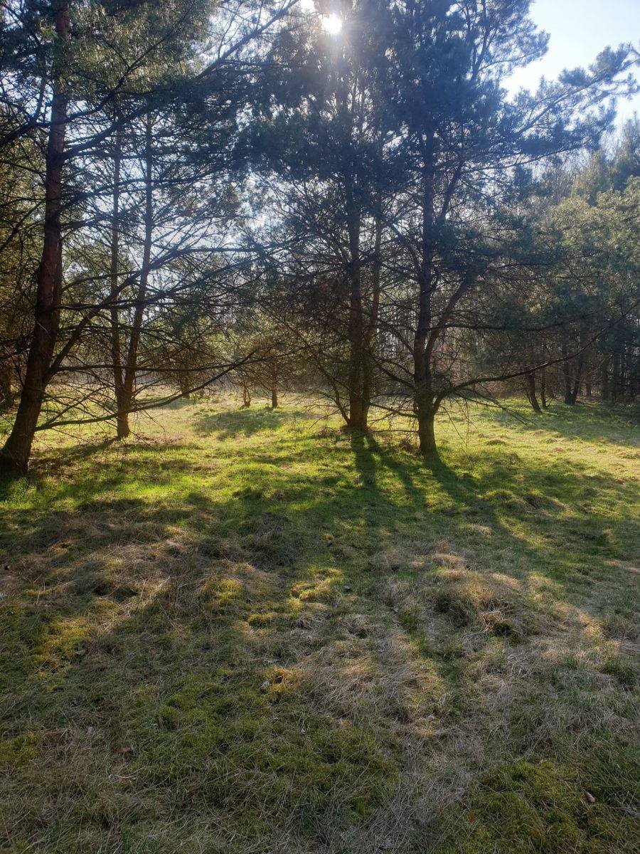 Malownicza działka 3000 m² pod domek letniskowy w lesie Jastrzębsko  3 000m2 Foto 1