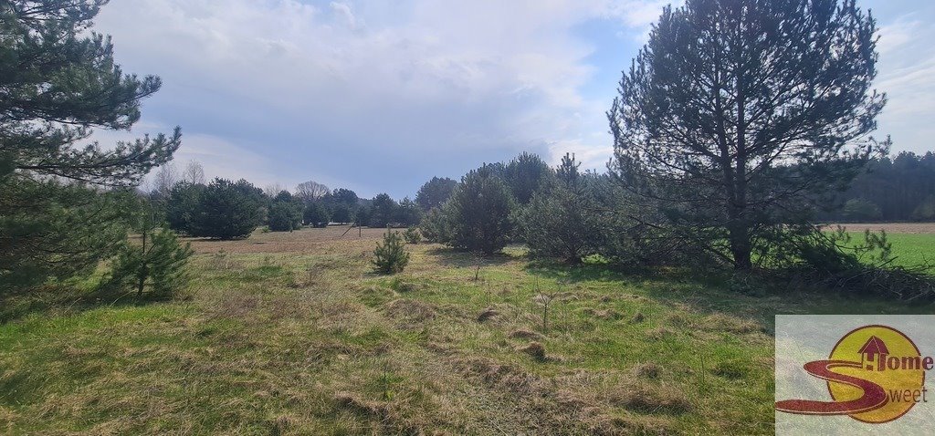 Działka rolno-budowlana 5168 m², szer. 33,5 m - polecam! Lewaszówka  5 168m2 Foto 1