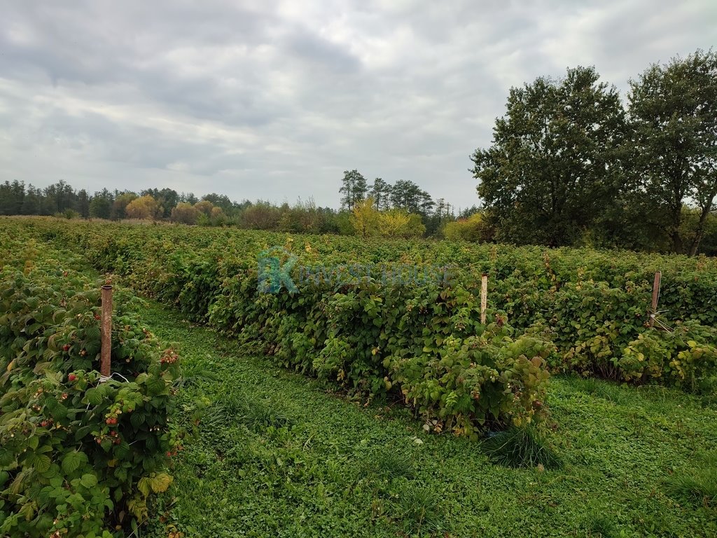 Działka siedliskowa na sprzedaż Czersk  8 400m2 Foto 5