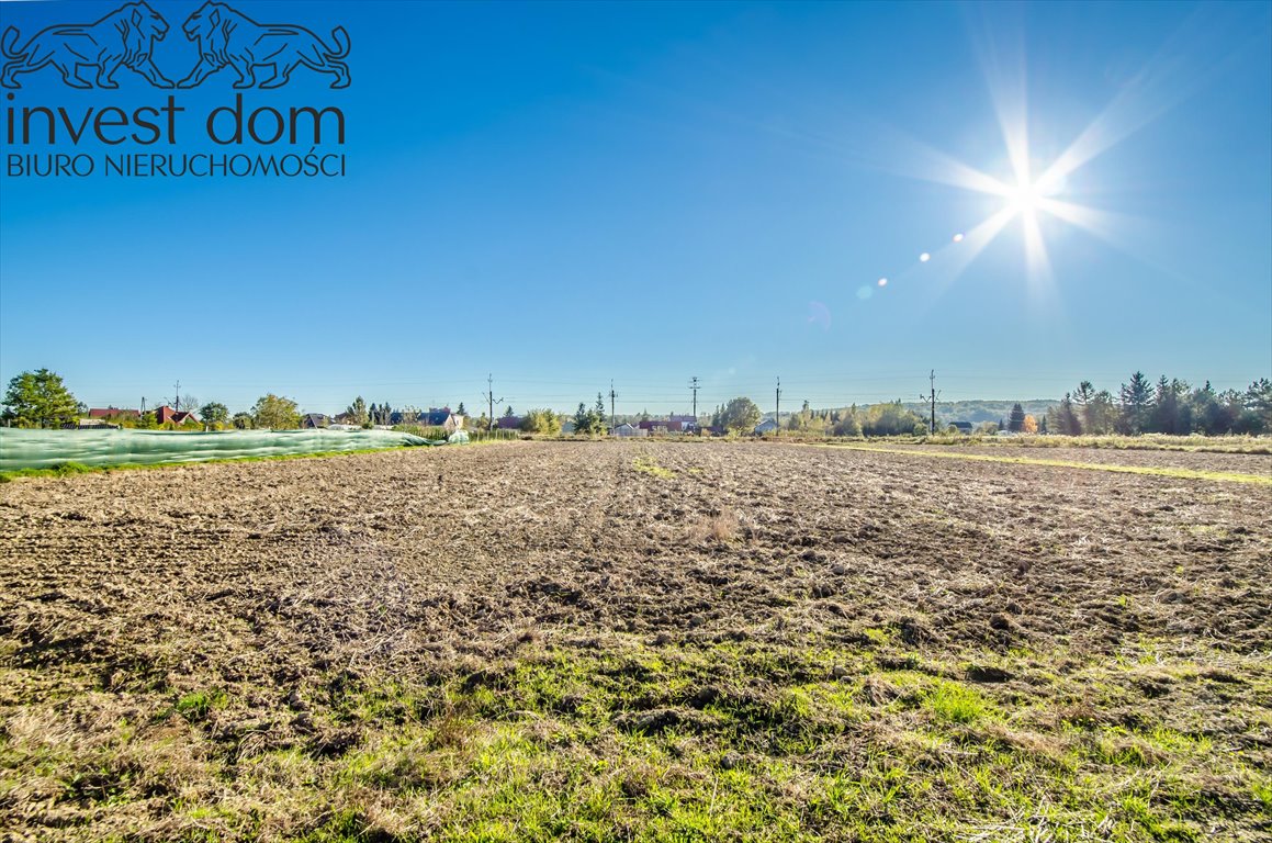 Działka budowlana na sprzedaż Przysieki  3 300m2 Foto 5