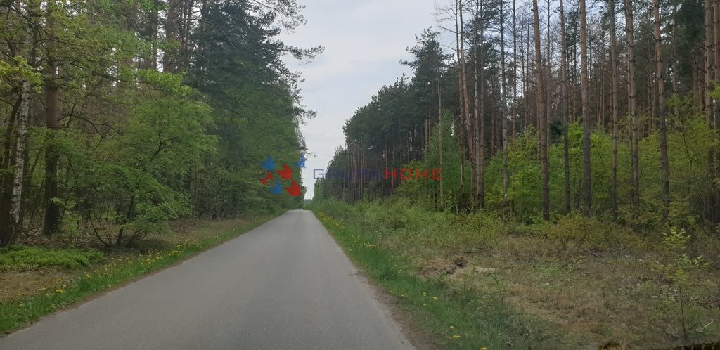 Działka 4000 m² pod zabudowę (las, media) w Prace Duże Prace Duże  11 000m2 Foto 1