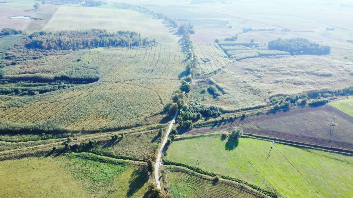 Działka rolna na sprzedaż Koszajny  551 400m2 Foto 1