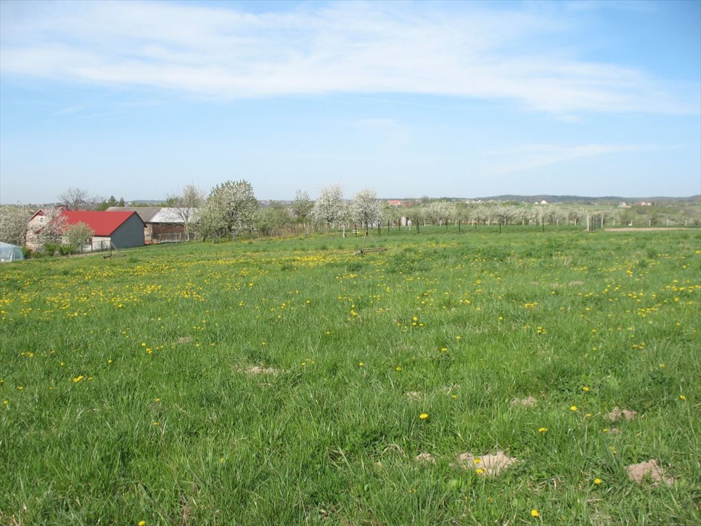 Działka budowlana na sprzedaż Świńczów  1 000m2 Foto 3