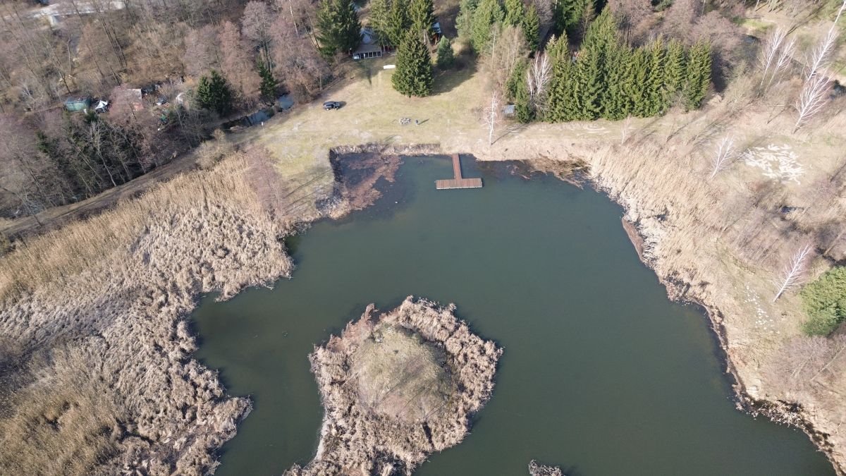 Lokal użytkowy na sprzedaż Tartak  52 600m2 Foto 40