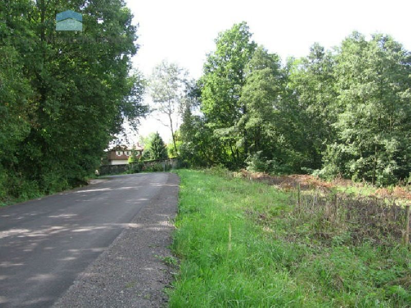 Działka inna na sprzedaż Konary, Brzegi 6 800m2 Foto 1 Działka inna na sprzedaż Konary, Brzegi 6 800m2 Foto 1