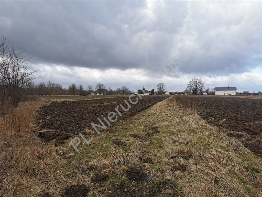 Działka budowlana na sprzedaż Chrzanów Mały  1 977m2 Foto 8