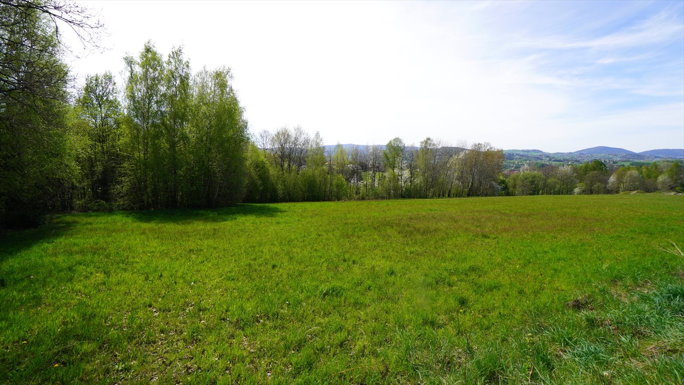 Działka budowlana na sprzedaż Sękowa  8 200m2 Foto 1