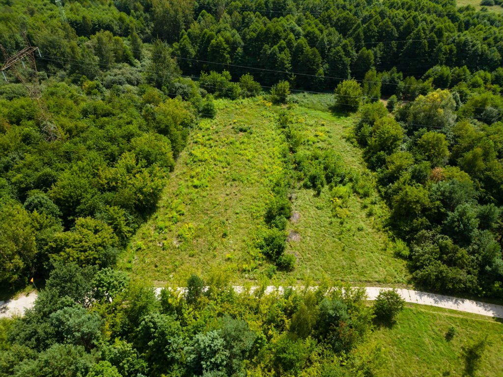 Działka rolna na sprzedaż Ostrowiec Świętokrzyski, Wschodnia  2 945m2 Foto 10