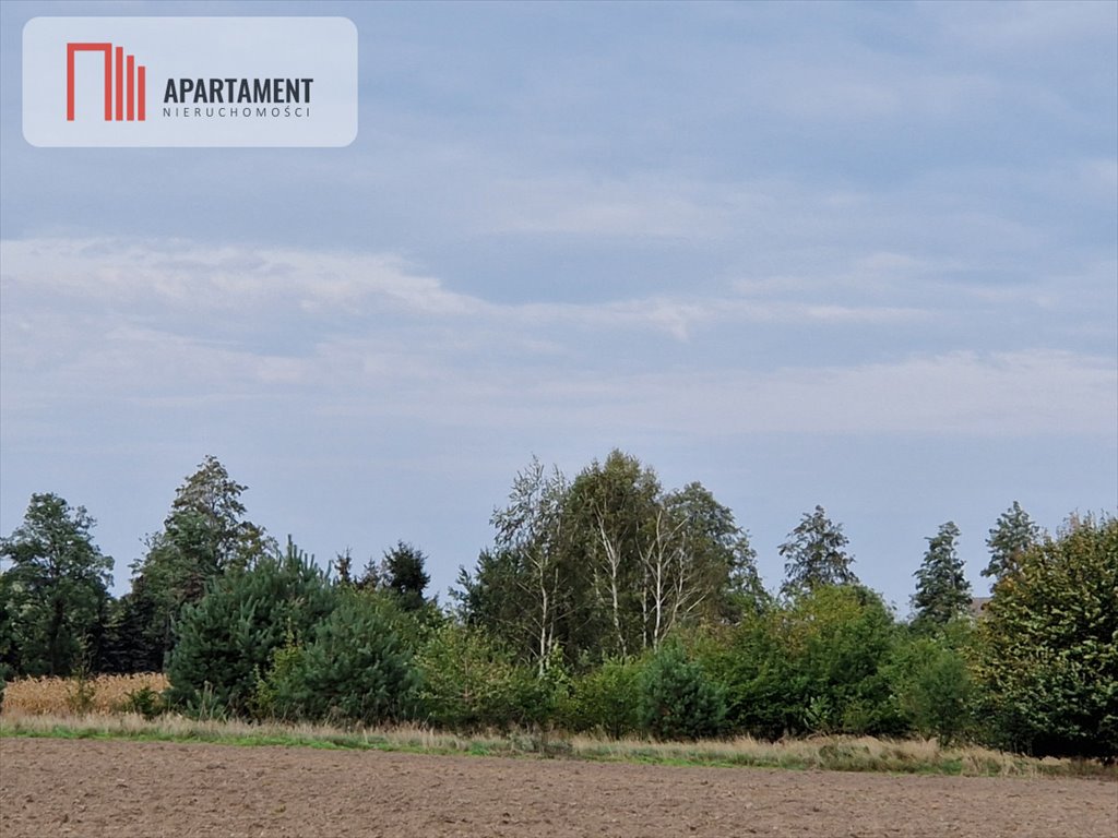 Działka budowlana na sprzedaż Rogowo  2 500m2 Foto 2