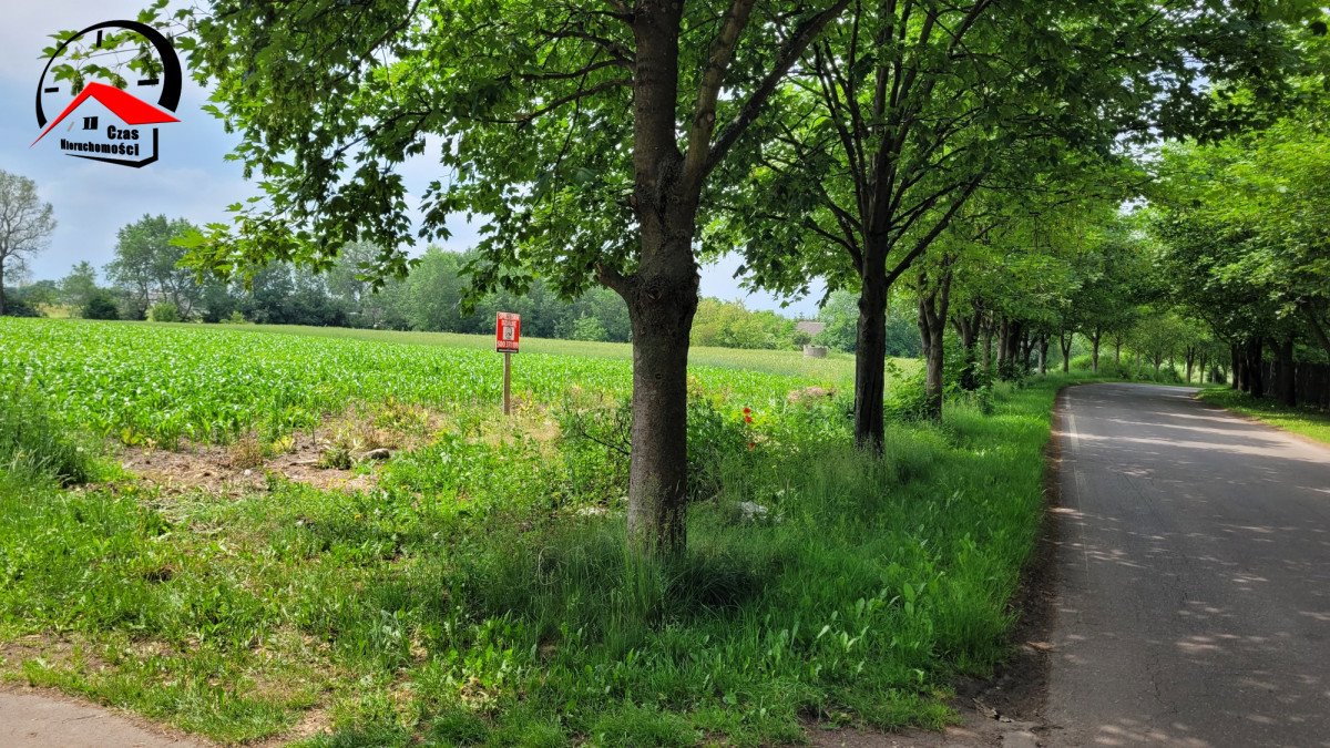 Działka budowlana na sprzedaż Inowrocław  3 000m2 Foto 6