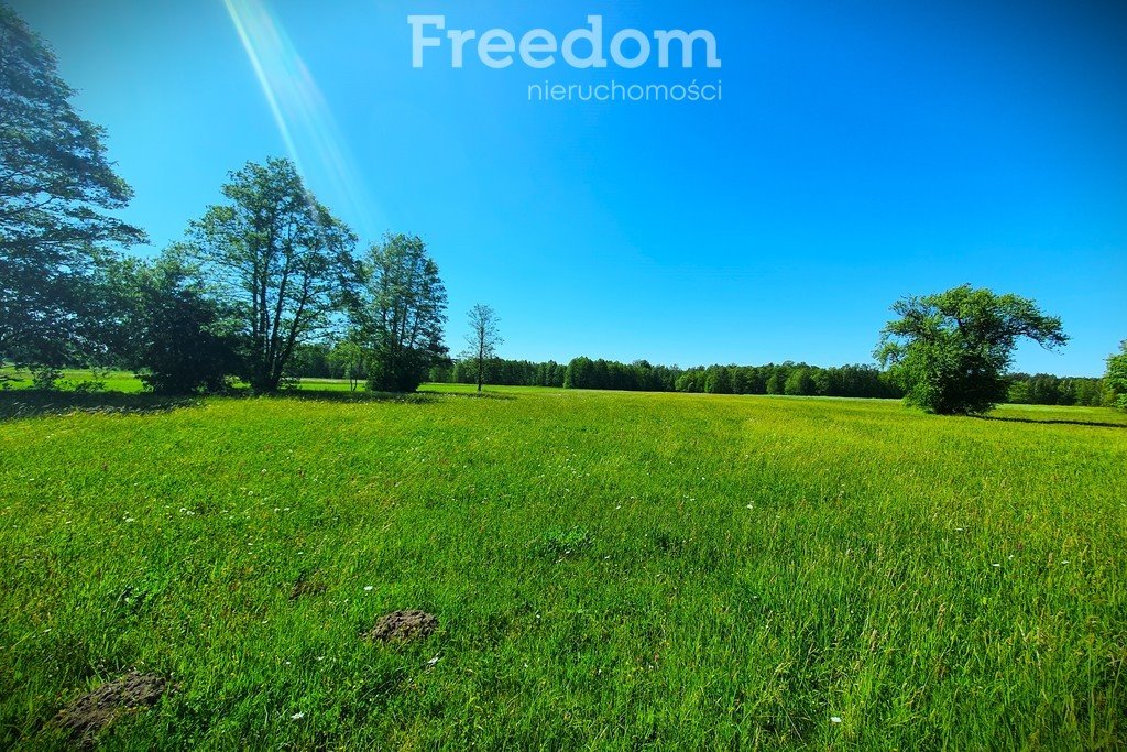 Działka rolna na sprzedaż Maksymilianów  32 700m2 Foto 7