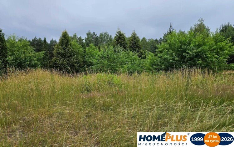 Działka 4827 m² pod zabudowę jednorodzinną, media w drodze Nowe Załubice  4 827m2 Foto 1
