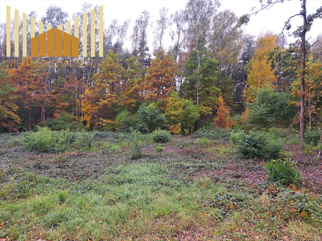 Przestronna działka 2612 m2 w Cegłowie - las i media w zasięgu Cegłów  2 612m2 Foto 1