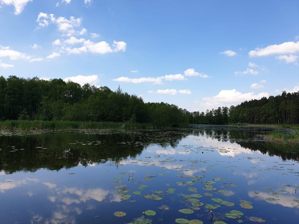 Działka inna na sprzedaż Niecenia  1 831m2 Foto 1