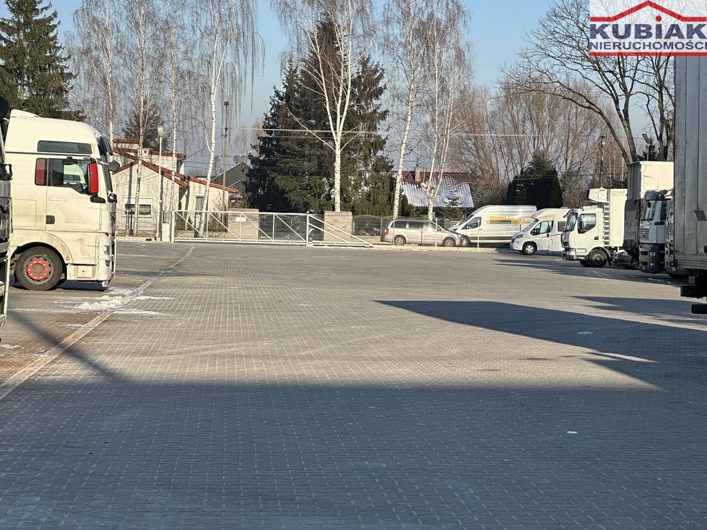 Zdjęcie 3