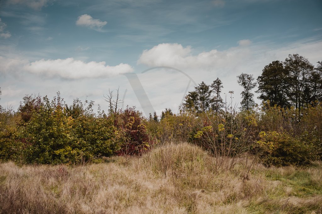 Działka budowlana na sprzedaż Chylice  9 500m2 Foto 3