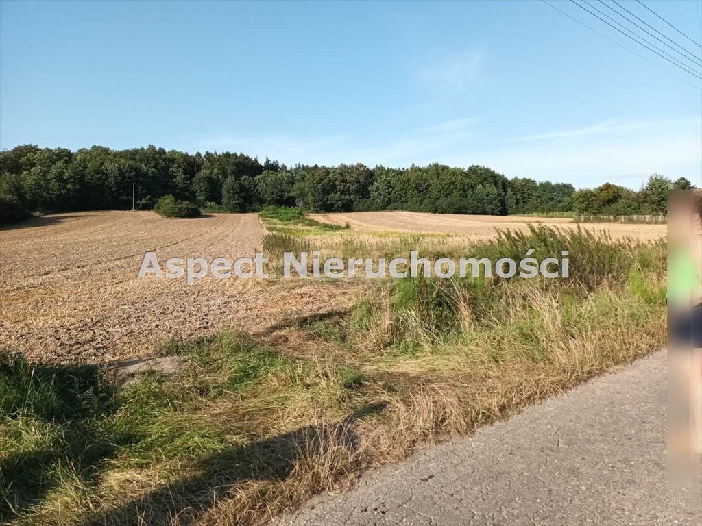 Działka rolna na sprzedaż Godów  4 908m2 Foto 6