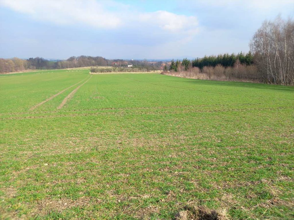 Działka budowlana na sprzedaż Witoszów Górny, Witoszów Górny  1 518m2 Foto 3