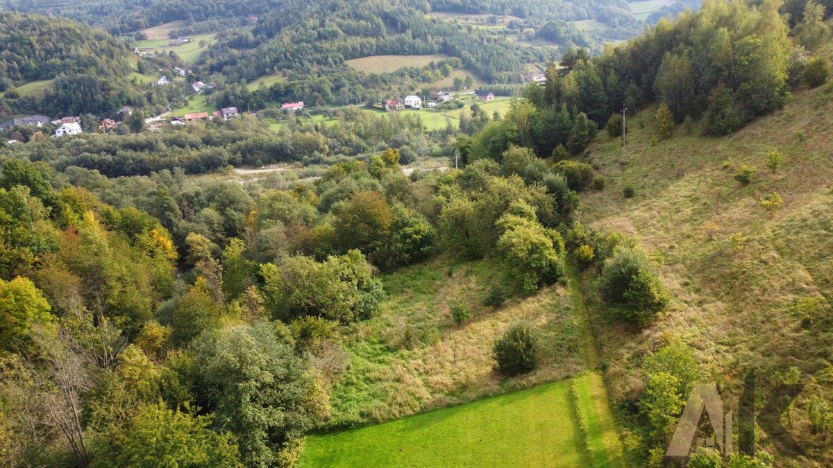 Działka budowlana na sprzedaż Zabrzeż  1 234m2 Foto 5